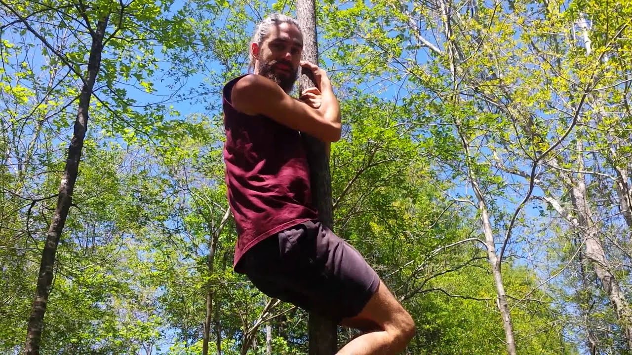 Tree Climbing Tutorial - YouTube