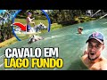 CAVALO NADANDO em LAGOA MUITO FUNDA