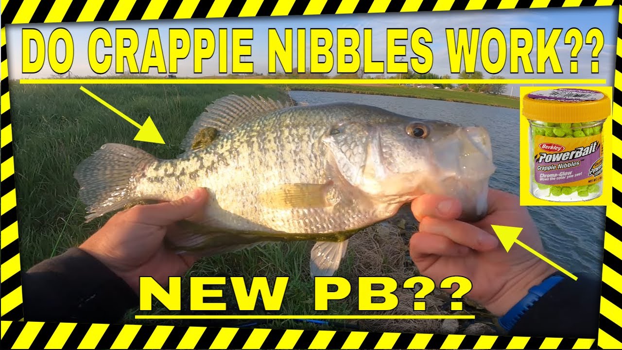 Testing Crappie Nibbles - The Shocking Results! NEW PB?