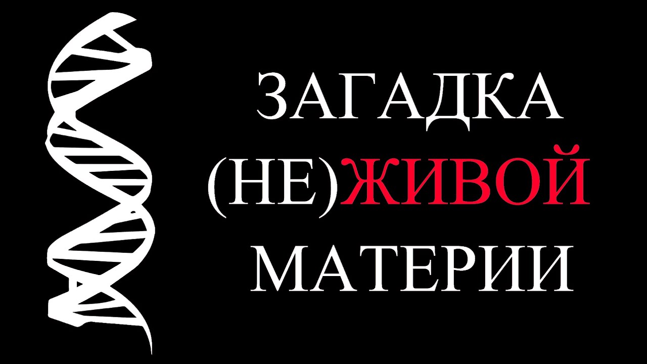 ⁣Ген, меняющий законы физики | Почему жизнь фундаментальна | ALI