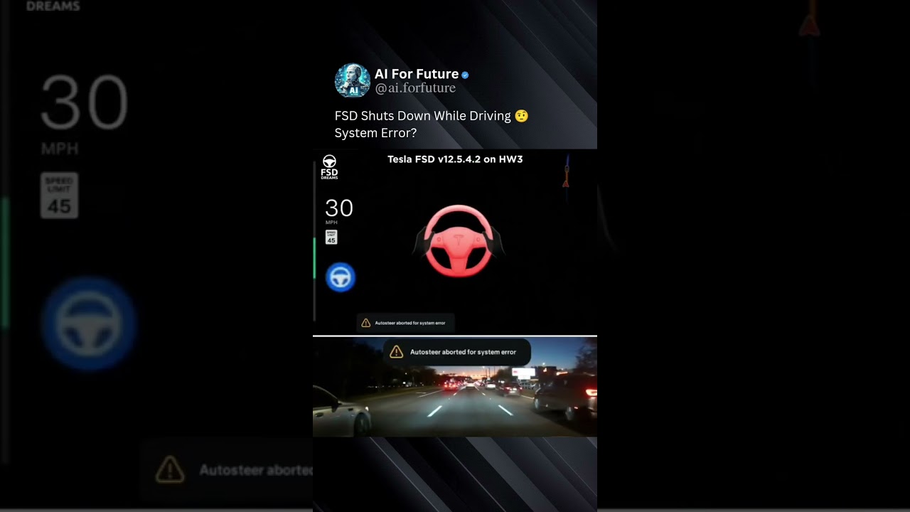 Tesla fsd system error 