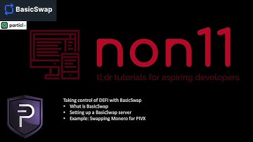 BasicSwap101