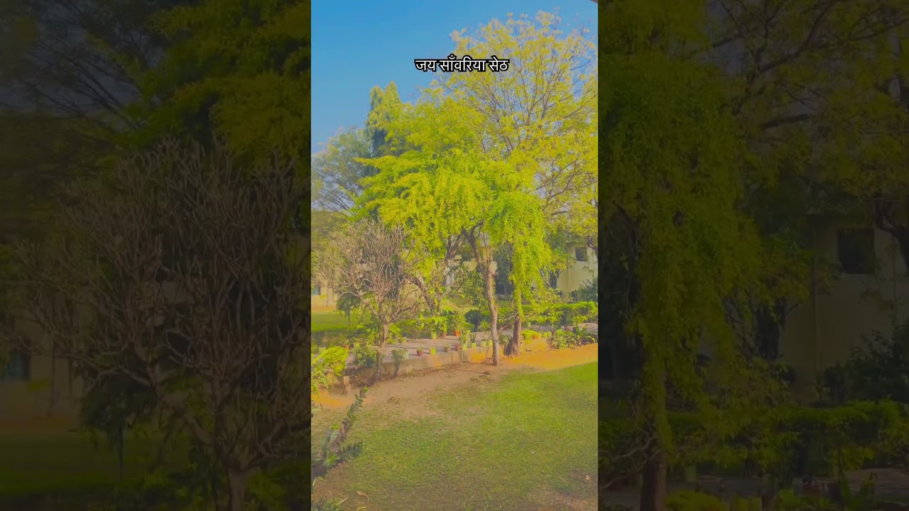 जय साँवरिया सेठ जी ❤️👻