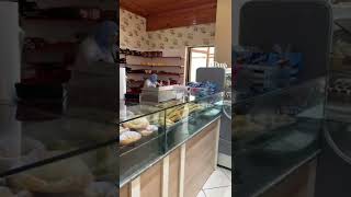 Ala-Too International University Bishkek Kyrgyzstan