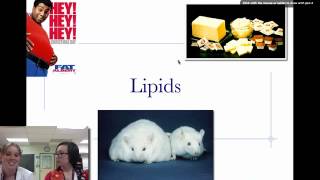Macromolecules Part1 (Carbs & Lipids).mov