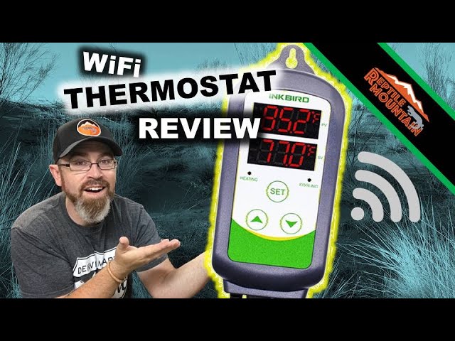 INKBIRD ITC 308 Review and Setup #reptiles #thermostat 