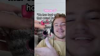 Please Help Me! #memes #cats #flipnote