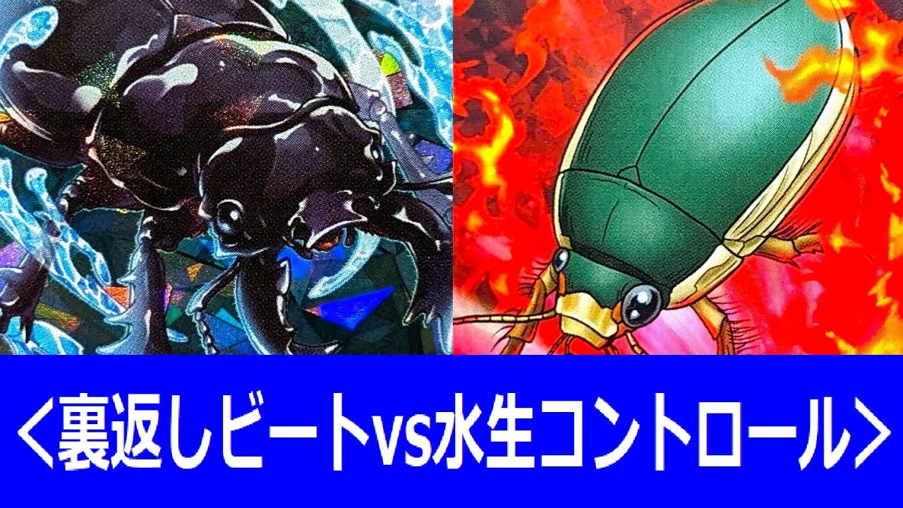 蟲神器】最終決戦!?＜裏返しビートvs水生昆虫＞【#蟲和陣伝 928