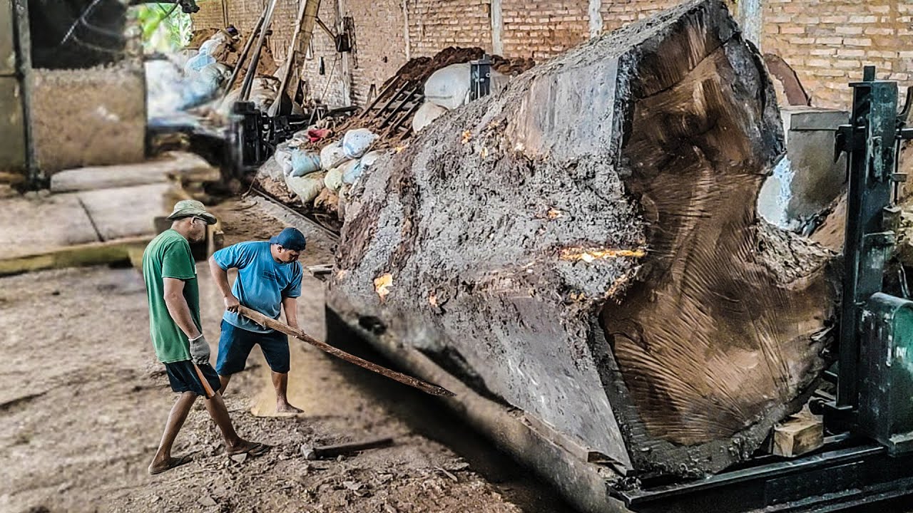 New York’s Best Trembesi Wood Suppliers ‼ Inside the Sawmill Process ...