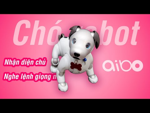 Video: Aibo là chú chó robot bao nhiêu?