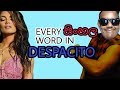 Every Sinhala word in Despacito - Despacito සිංහලයන් Mp3