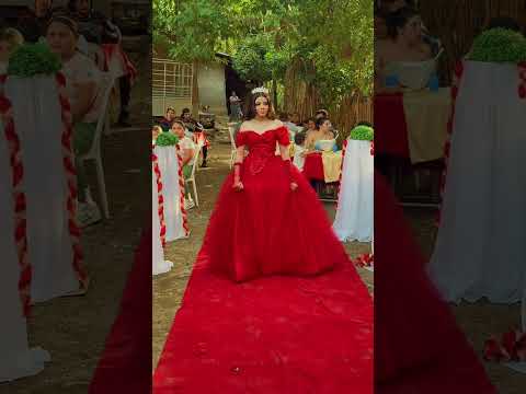 Los 15 de