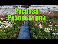 Поездка в Русрозу/Розовый рай/Я такого никогда не видела/Что купили...