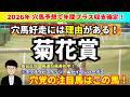 【菊花賞2026】要求されるのは3000m走りきる単純なスタミナだけではない！逆転期待！今年の菊花賞の注目馬はこの馬！