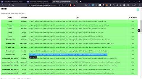 How to Install Chrome webdriver for Selenium | Python Selenium Windows 11