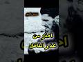 احذر من عدو الداخل اكسبلور حسن منصور Foryou ترند تحفيز Stitch خادم رسول الله احذر من عدو الداخل اكسبلور حسن منصور Foryou ترند تحفيز Stitch خادم رسول الله