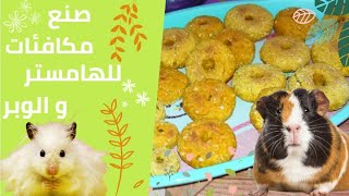 صنع مكافئات للهامستر والخنزير الغيني