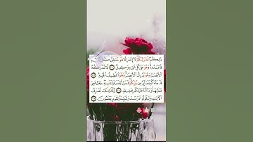 الاية 102...105 من سورة الانعام