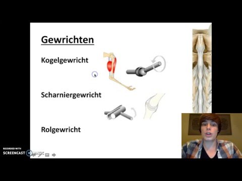 Video: Alle Verbindingen Bekijken