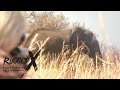 Elephant Hunt of Zimbabwe