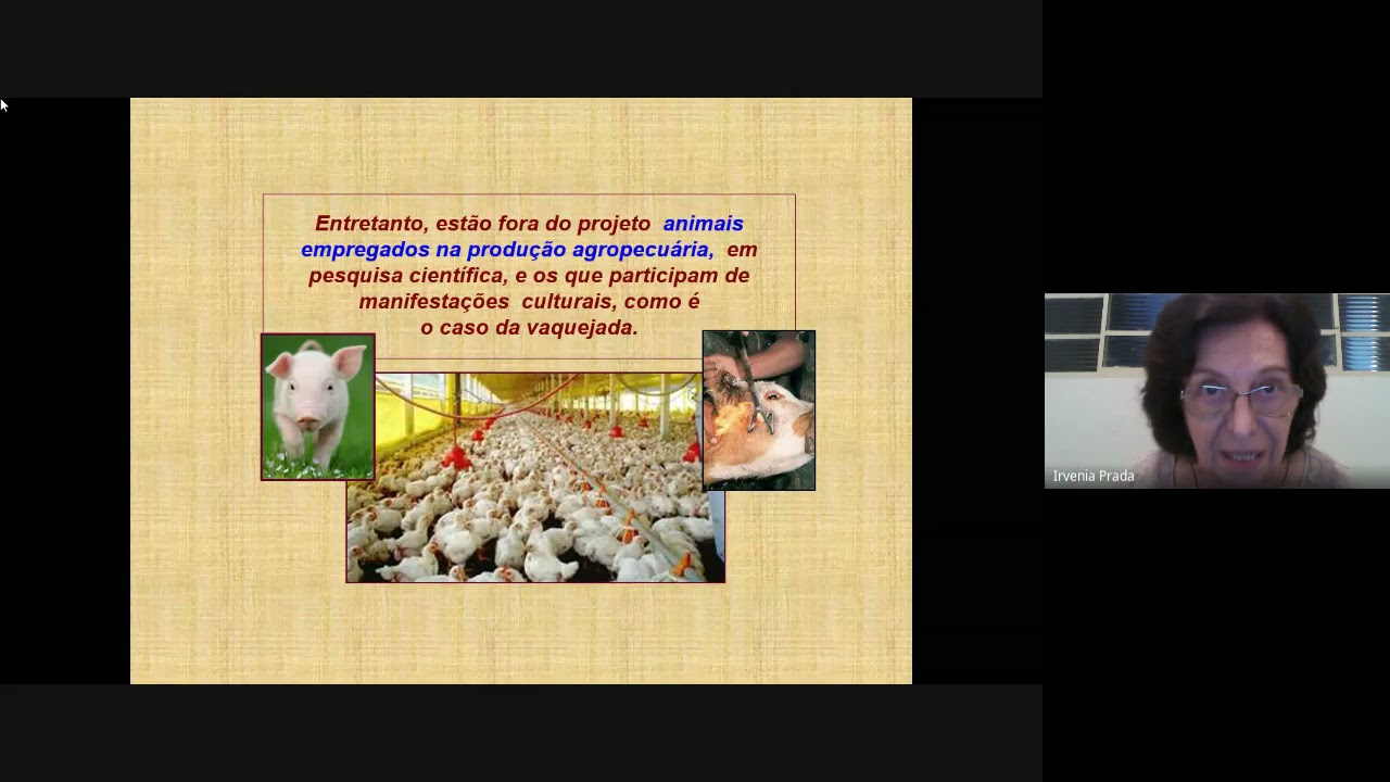 AULA 8-  ESTUDO DAS OBRAS ANDRÉ LUIZ / CHICO XAVIER - AME-SG  2021 08 20 at 14 00 GMT 7