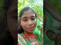 Youtube shortsoriya songpridev sambalpuri vlogssadhaba bahu
