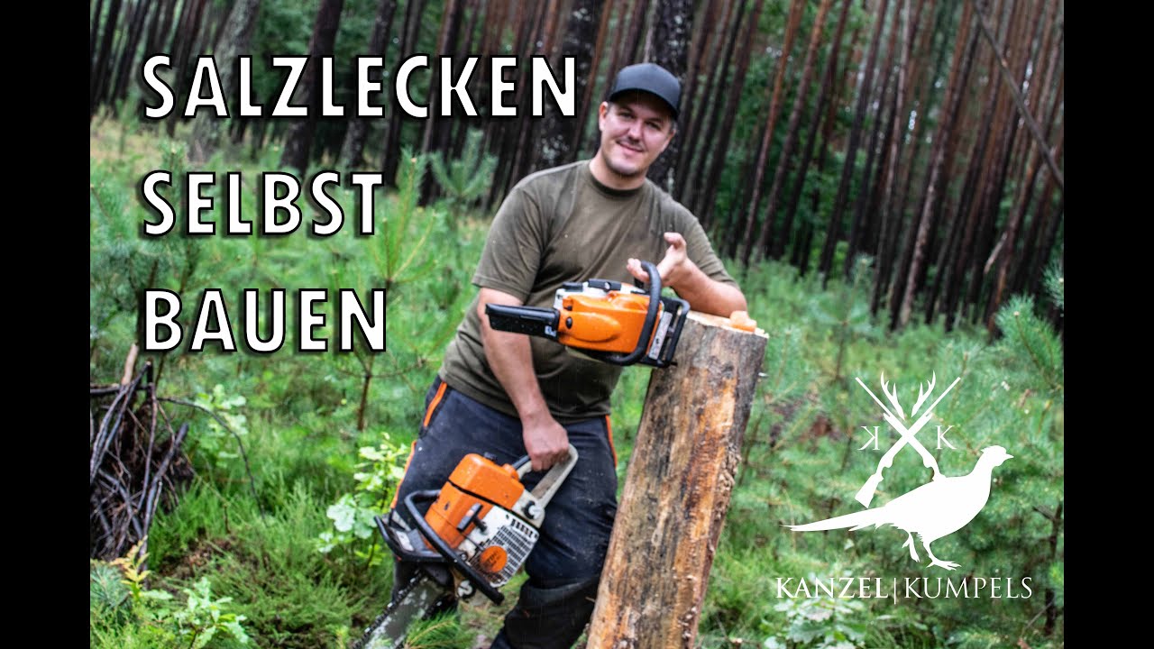 Salzlecken schnell selbst bauen - Wir zeigen euch 3 Varianten