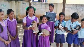 Learn a Word a Day(Level-2 ):PUPPY-- కుక్కపిల్ల. Ptd by Bikki Sreenivasulu, Kalyandurg. Anantapur.AP