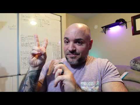 Junior Developers Are Asking TOO Many Questions!