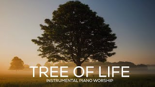 TREE OF LIFE // PIANO WORSHIP INSTRUMENTAL screenshot 5