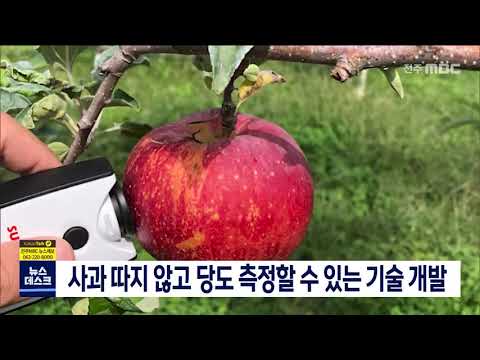 [뉴스데스크] 사과 따지 않고 당도 측정할 수 있는 기술 개발 | 전주MBC 211003 방송