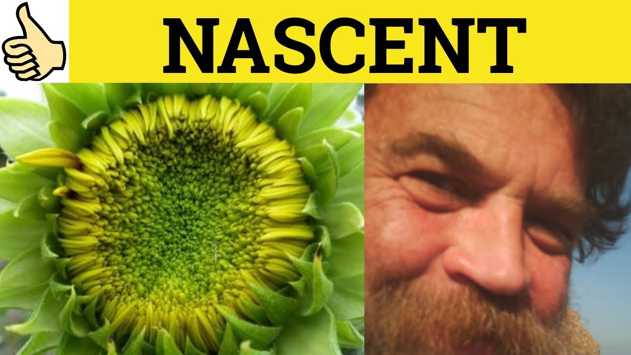 🔵Nascent Meaning - Nascent Examples - Nascent in a Sentence - Nascent ...