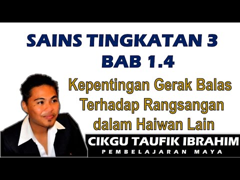 Sains Tingkatan 3 KSSM I Bab 1 Rangsangan dan Gerak Balas I1.4 Kepentingan Gerak Balas