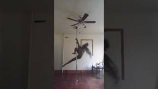 PoetryPole poleplay