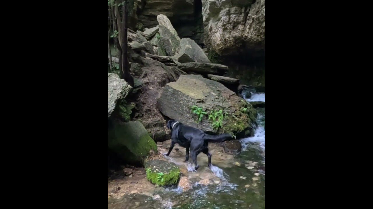 A Sneak Peak Of Mine And Koda S Venture To The Cold Water Springs Iowa 