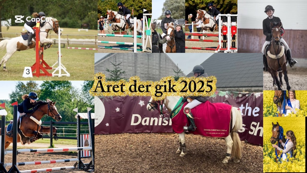 Året der gik 2025 -et år med fantastiske oplevelser😍😍😍