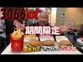 【大食い】3種類のビッグマックを爆食　【マクドナルド】