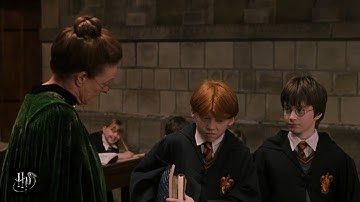 Harry Potter and the Sorcerer