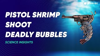 How did pistol shrimp help the US navy in world war? | Cavitation | Science Insights | Embibe