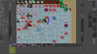Tibia | Peloria | Soul War Quest Full Run | All Bosses