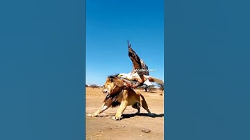 #reels #funny #viralvideo