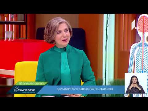 როგორია ჩვენი ნერვული სისტემა?