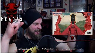 A Day To Remember - Re-Entry (REACTION!)