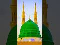 Hara Gumbad Jo dekhoge Jamana Bhul jaaoge Madina #viral #viralshort #vlog #love