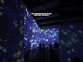 One night. One city. Endless art. 🎨 | Nuit Blanche Toronto