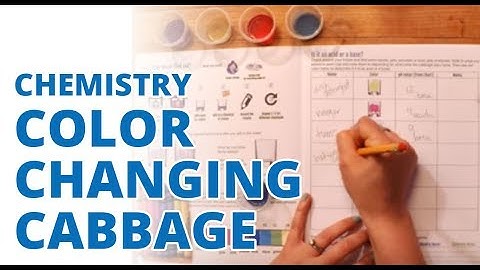 Natrual pH indicators: Purple Cabbage Color Changes with Anthocyanin