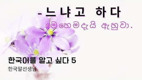 한국어를 알고 싶다 Intermediate Korean Grammar  05 - 느냐고 하다