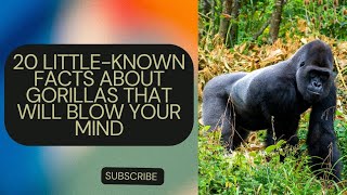 20 little-known facts about gorillas that will blow your mind