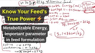 Master Feed Formulation: Calculate the Value of Your Broiler Feed Metabolizable Energy Like a Pro