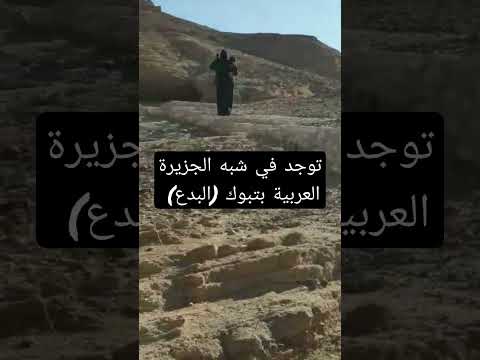 مدينة مدين التي لجأ لها سيدنا موسى عليه السلام سبحان الله حفروا بالصخر واغفر لأبي
